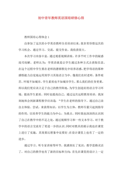 初中青年教师英语国培研修心得.docx