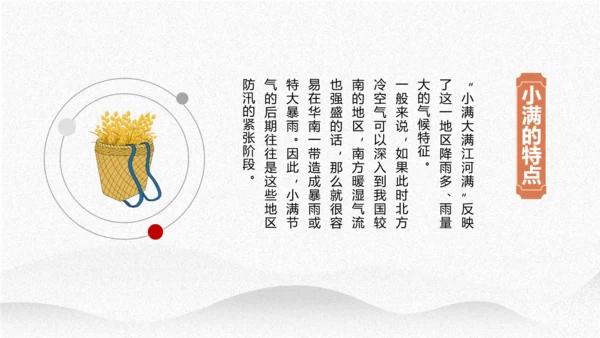 小满节气介绍PPT模板