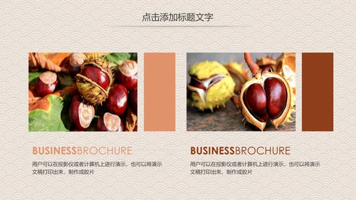 营养美食美味板栗种植宣传动态PPT模板