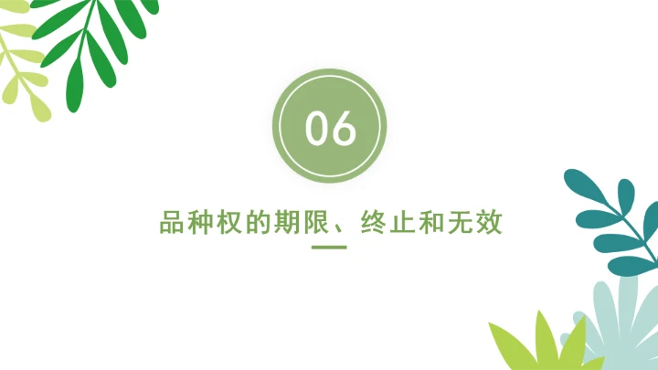 普法全文学习2025年4月新修订《中华人民共和国植物新品种保护条例》PPT课件