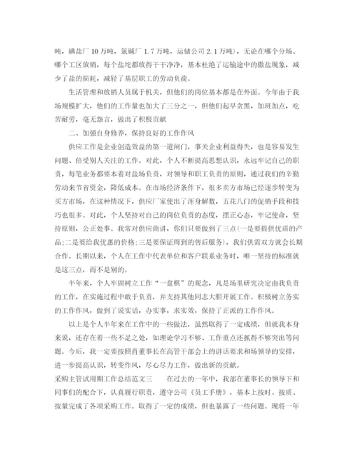 精编之采购主管试用期工作总结范文.docx