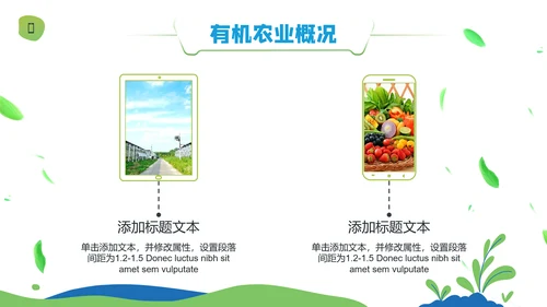 乡村振兴绿色有机农产品介绍通用PPT模板