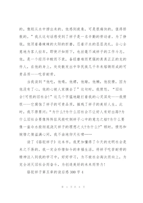 骆驼祥子小说第五章的读后感300字5篇.docx