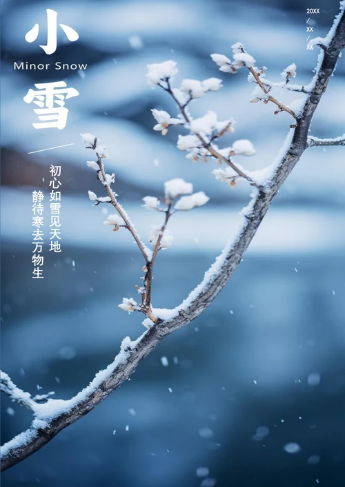 初心如雪见天地小雪海报