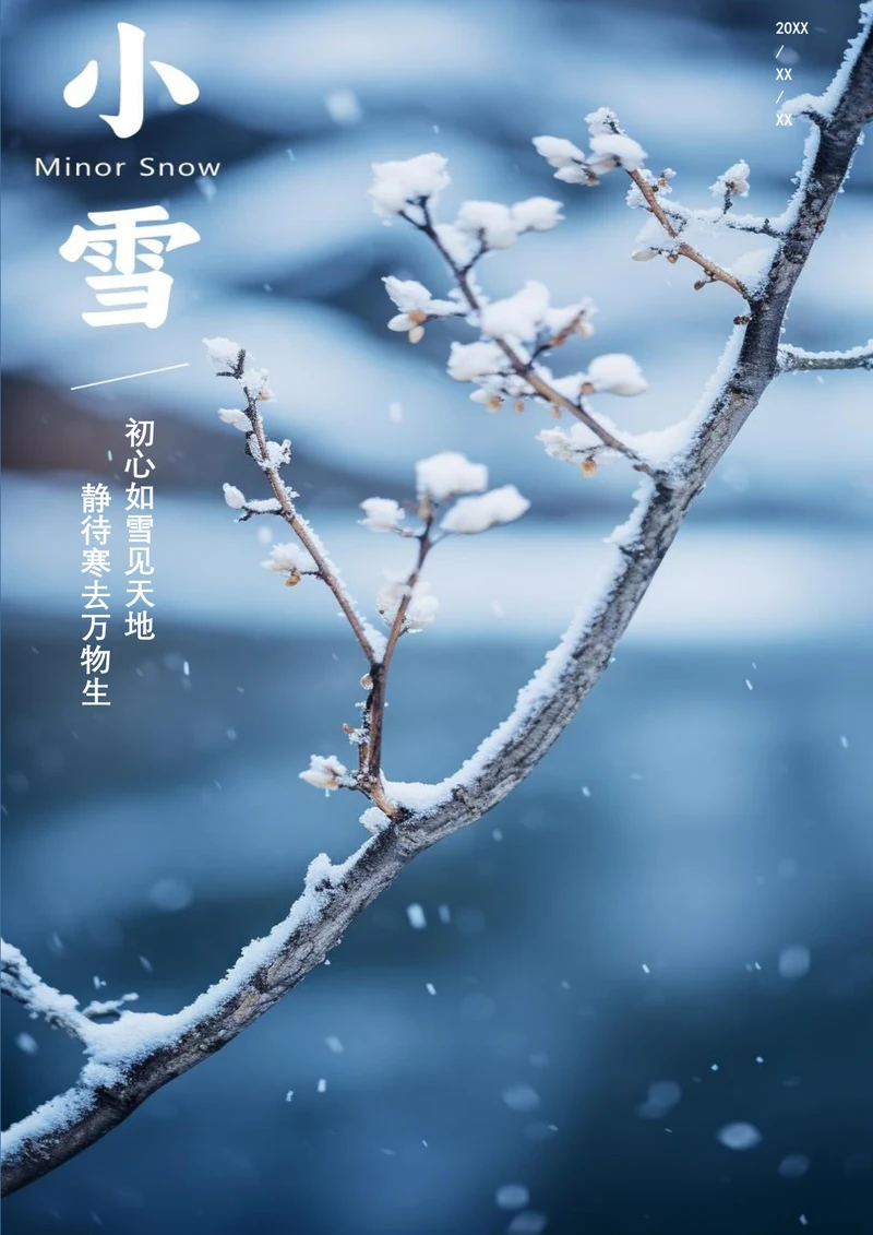 初心如雪见天地小雪海报