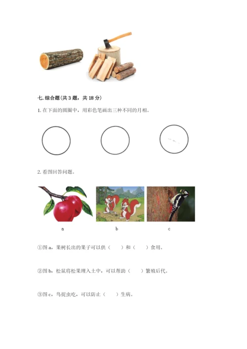 教科版科学二年级上册《期末测试卷》精品（精选题）.docx