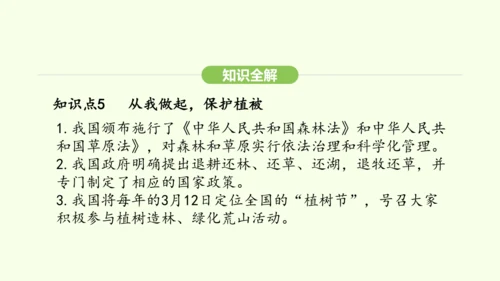 第三单元-第二章-第四节-植物在自然界中的作用课件-2024-2025学年七年级生物下学期人教版(2