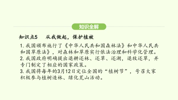 第三单元-第二章-第四节-植物在自然界中的作用课件-2024-2025学年七年级生物下学期人教版(2