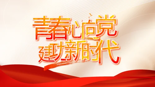 党建党支部年终工作总结汇报PPT党课