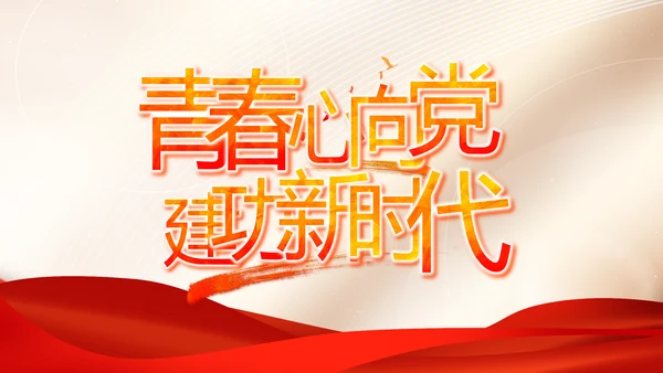 党建党支部年终工作总结汇报PPT党课