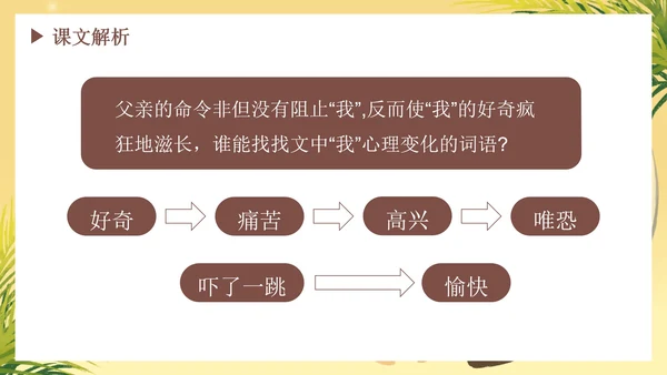 部编版语文六年级下册《表里的生物》
