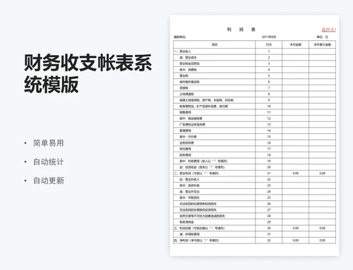 财务收支帐表系统模版