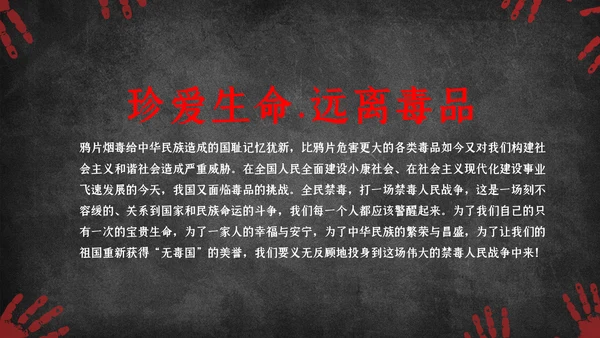 国际禁毒日珍爱生命远离禁毒教育知识PPT模板