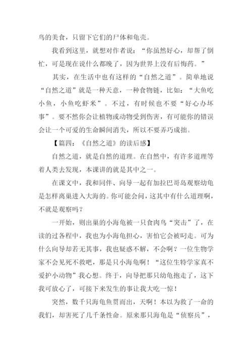 自然之道作文300字.docx