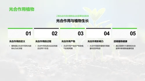 植物生命之旅