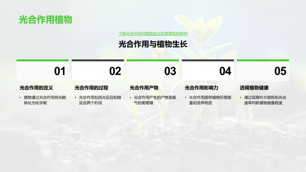 植物生命之旅