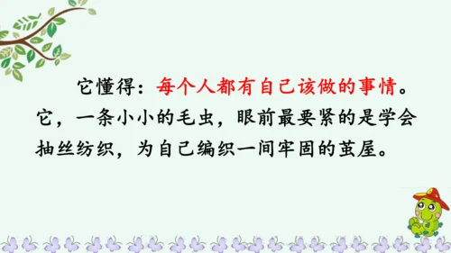 22小毛虫  课件