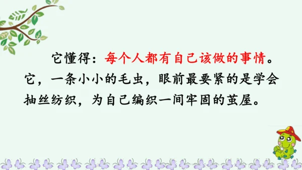 22小毛虫  课件