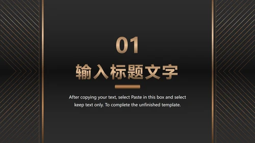黑金商务项目总结PPT模板