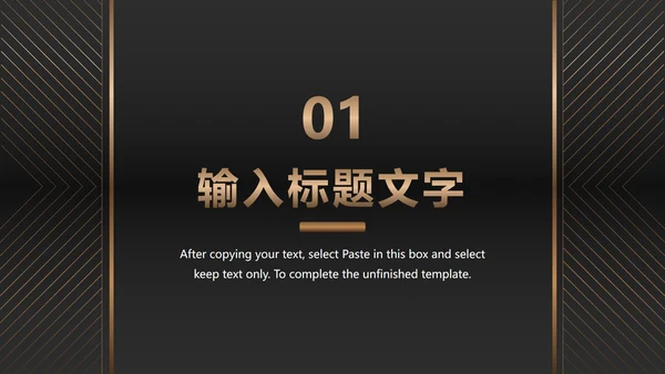 黑金商务项目总结PPT模板
