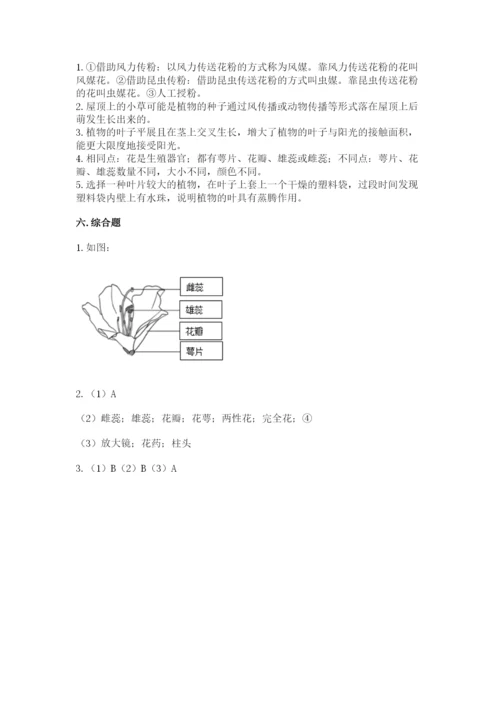 科学四年级下册第一单元植物的生长变化测试卷（真题汇编）.docx