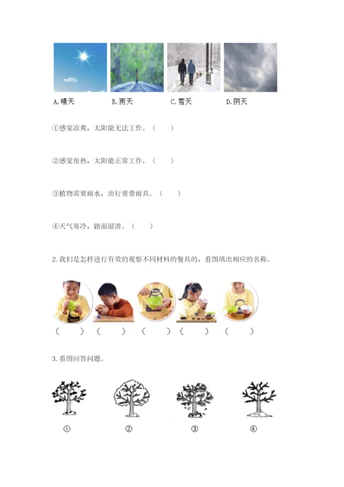 教科版科学二年级上册期末测试卷【能力提升】.docx