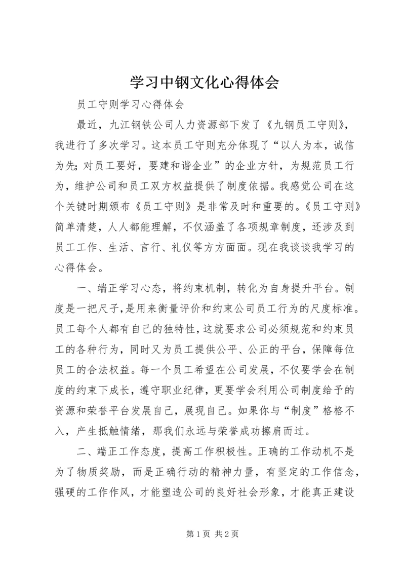 学习中钢文化心得体会 (5).docx