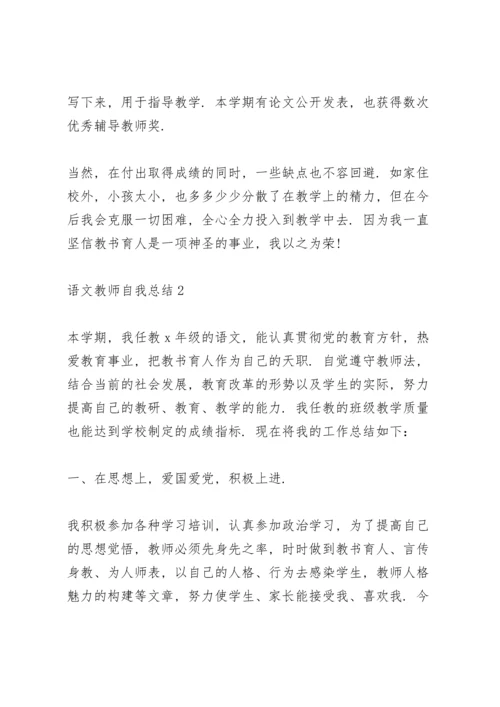 语文教师自我总结10篇.docx