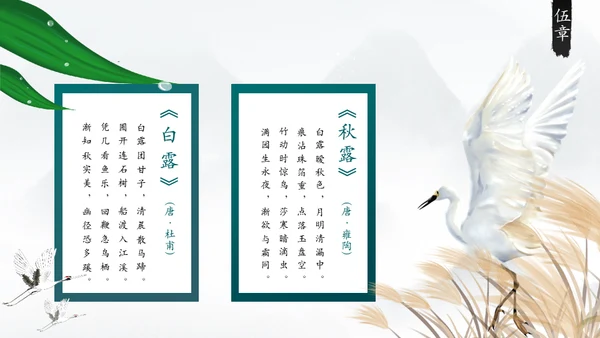 白露白鹤通用PPT模板