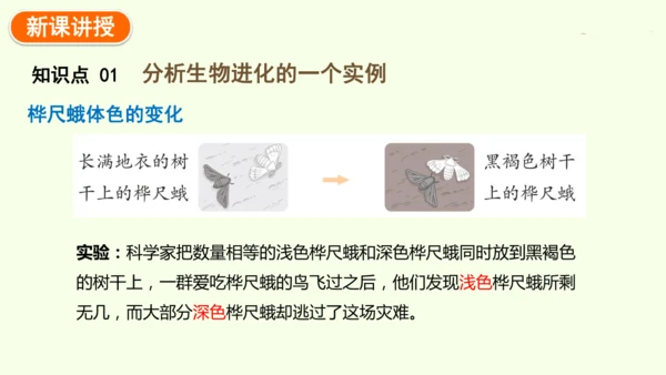 7.3.3生物进化的原因-八年级生物人教版下学期同步精品课件(共44张PPT)