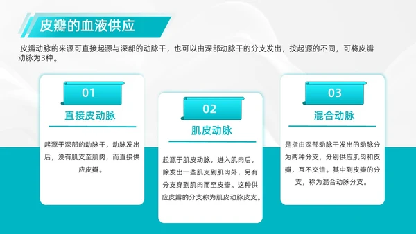 商务、简约、皮瓣移植术后护理、医学项目类、PPT模版护理查房