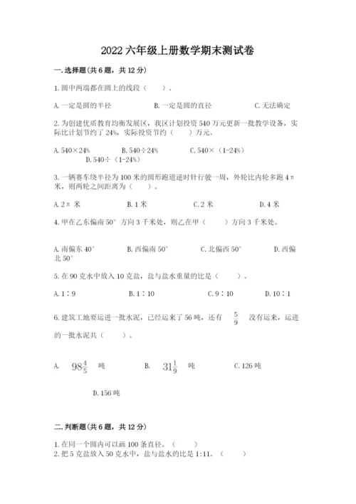 2022六年级上册数学期末测试卷附完整答案【名师系列】.docx