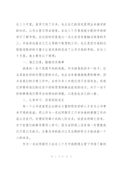 转正的述职报告范文.docx