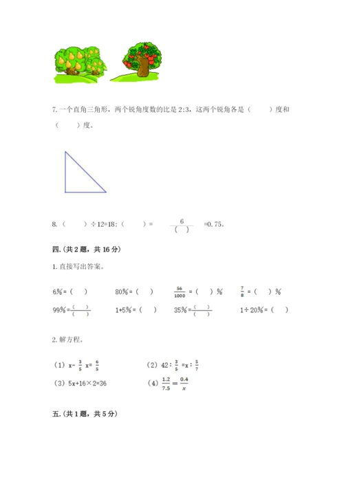 人教版数学小升初模拟试卷附答案【研优卷】.docx