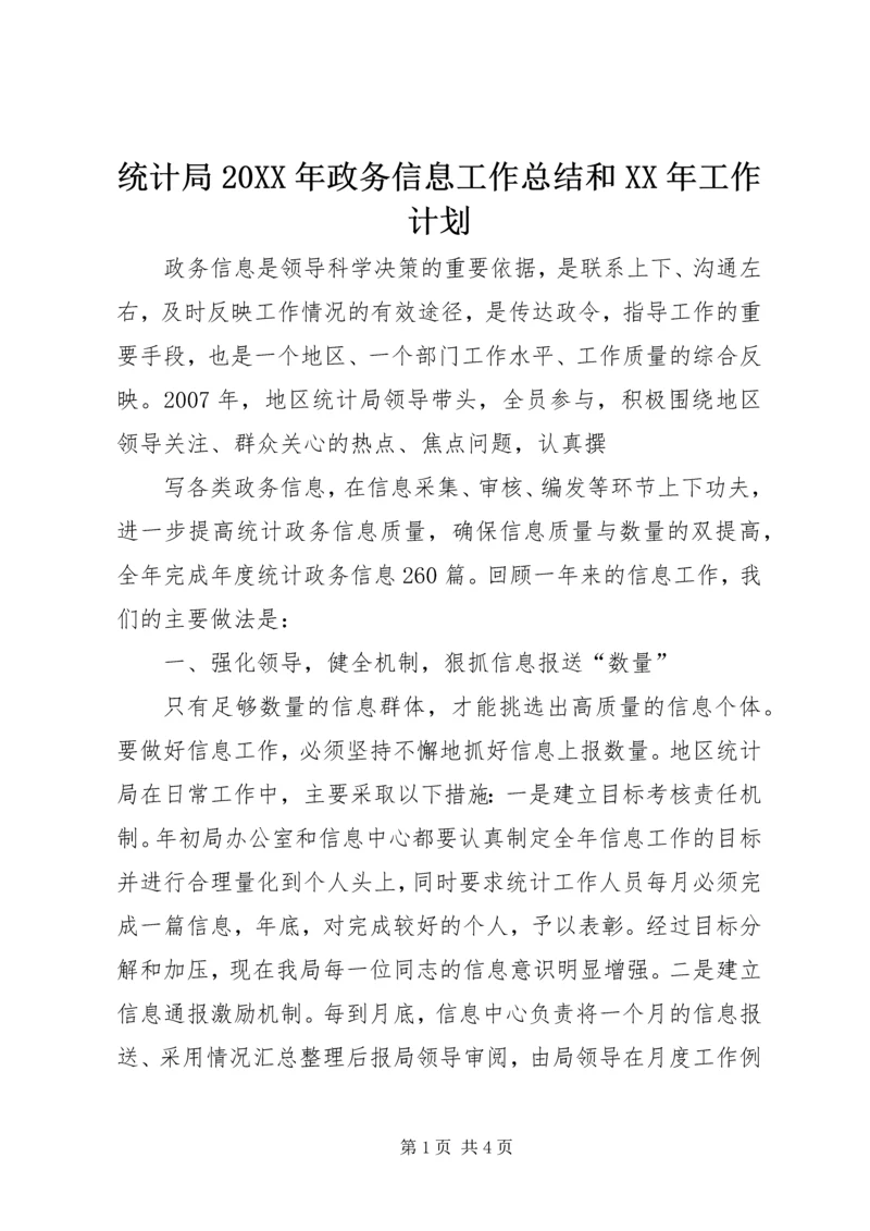 统计局20XX年政务信息工作总结和XX年工作计划.docx