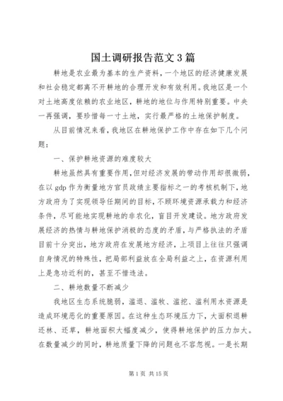 国土调研报告范文3篇.docx