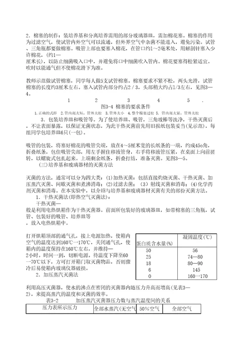 微生物实验指导