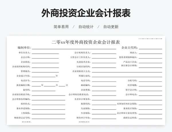 外商投资企业会计报表