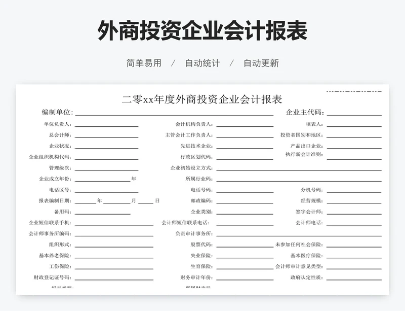 外商投资企业会计报表