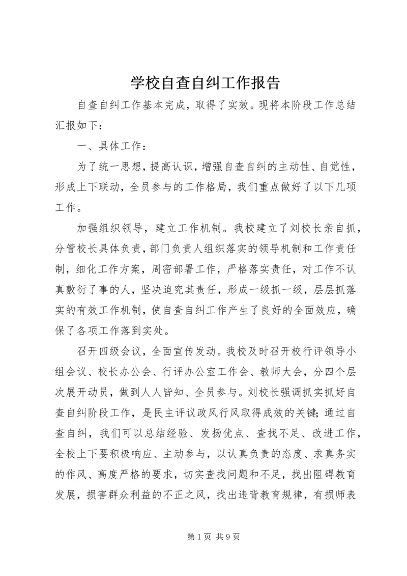 学校自查自纠工作报告 (2).docx