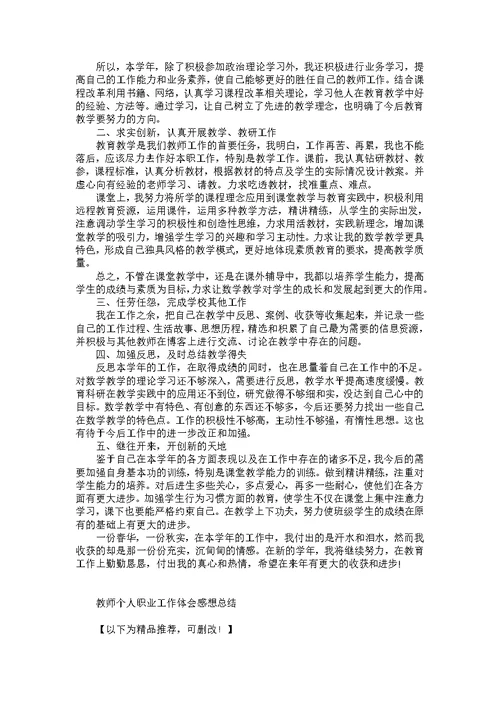 教师个人职业工作体会感想总结模板