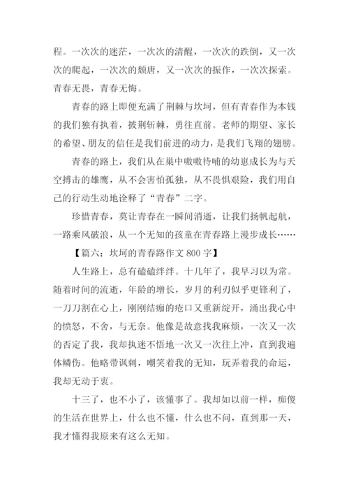 坎坷的青春路作文800字.docx