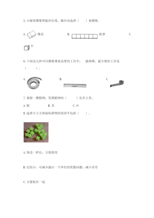 教科版一年级上册科学期末测试卷【黄金题型】.docx