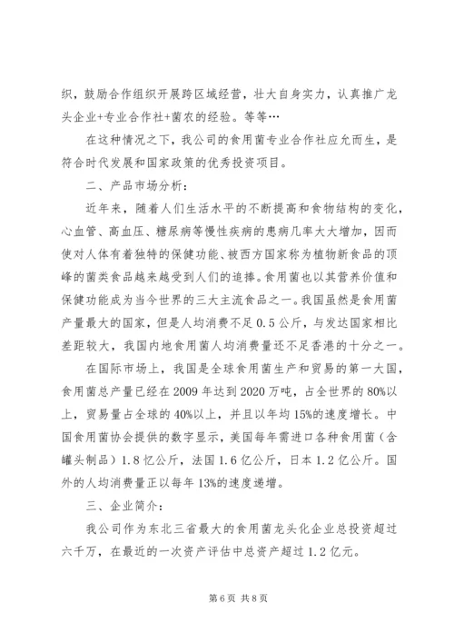 招商引资计划书.docx