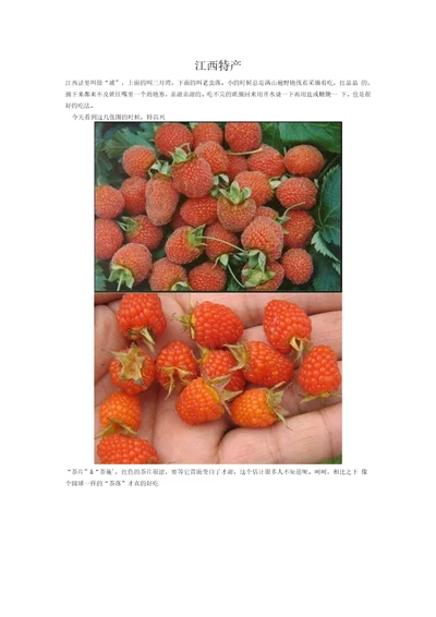中国江西特产