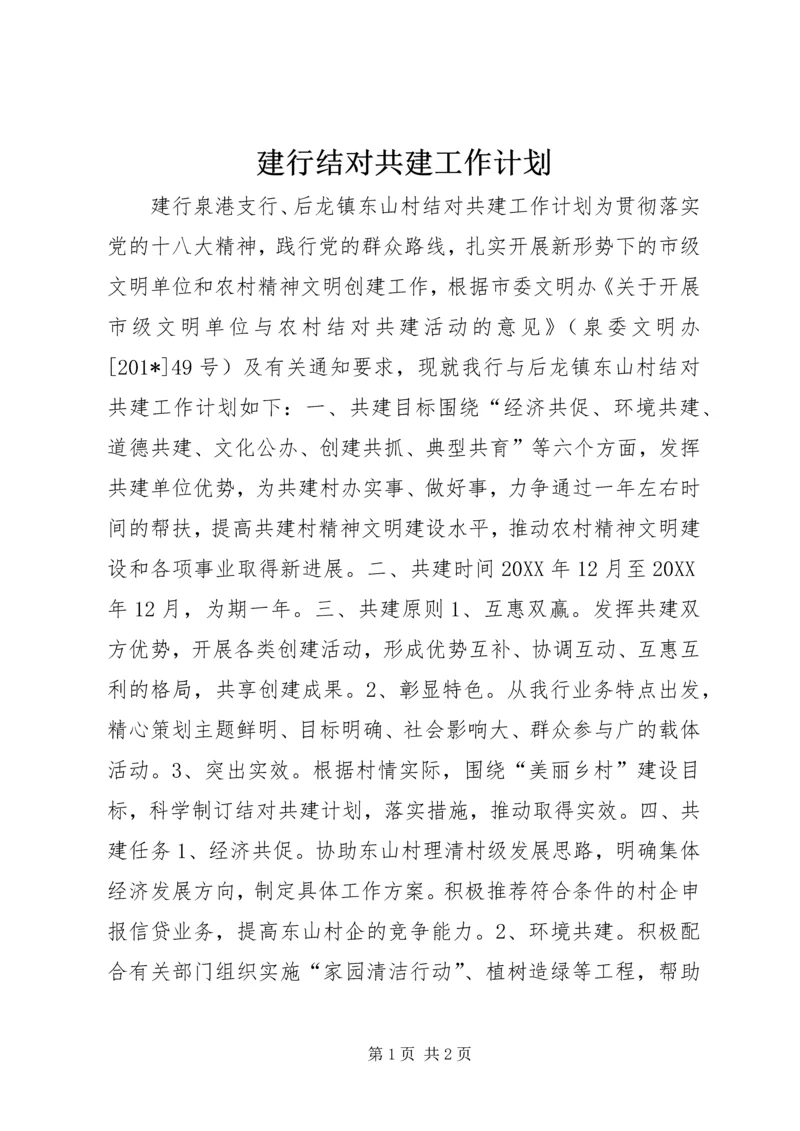 建行结对共建工作计划.docx