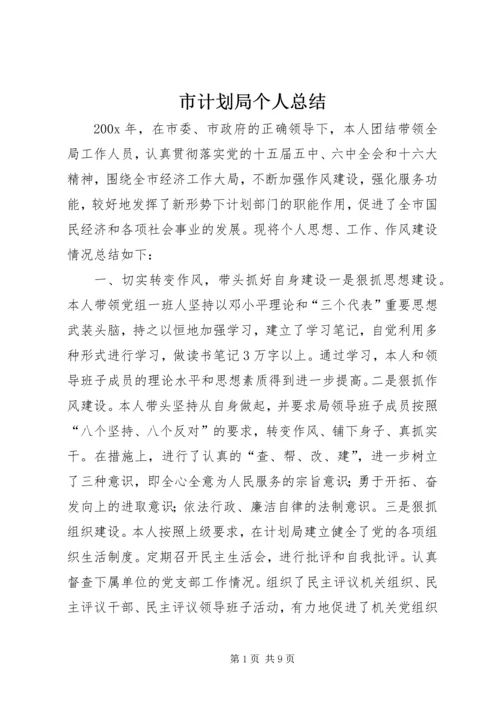 市计划局个人总结.docx