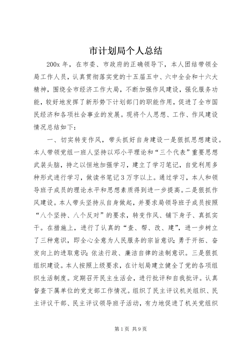 市计划局个人总结.docx