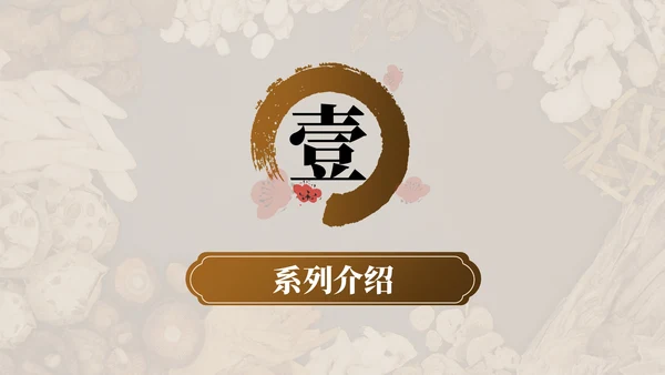 红棕色中医药产品介绍PPT模板