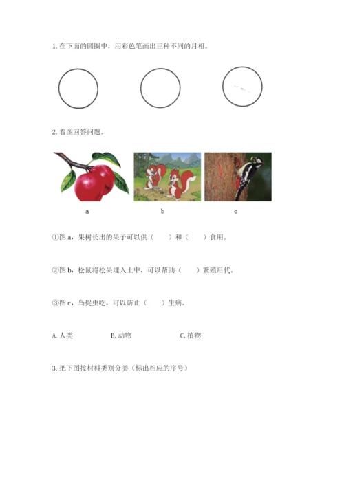 教科版二年级上册科学期末测试卷（实用）word版.docx